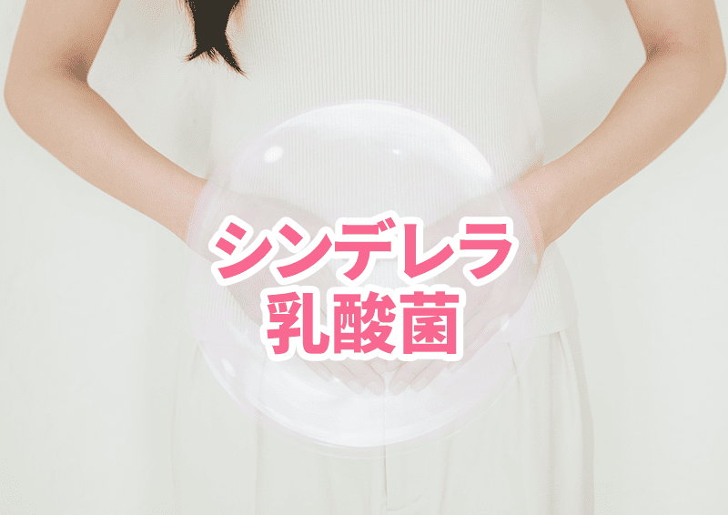 体内環境と美容のイメージ画像