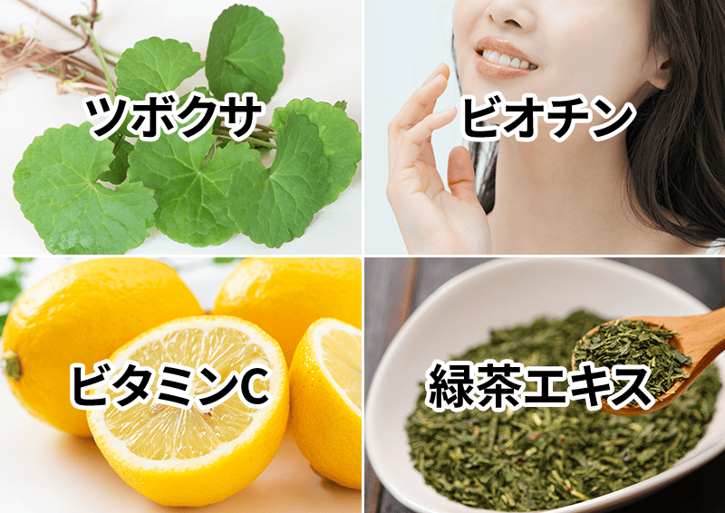 美容成分配合イメージ画像